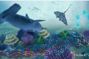 九游app官网下载2024最新版